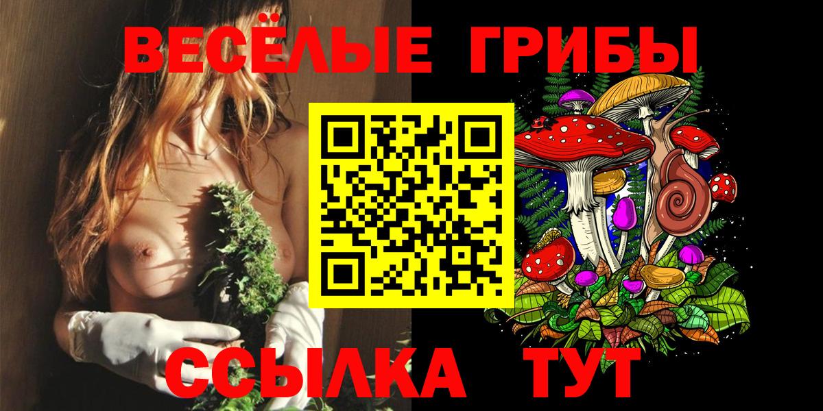 Псилоцибиновые грибы Magic Shrooms Ржев