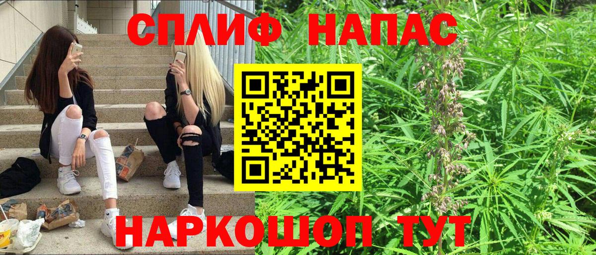 Бошки марихуана конопля  Вход с VPN  Ржев  Бошки Шишки гибрид 